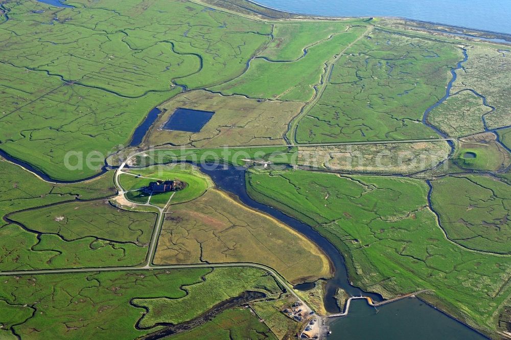 Aerial photograph Langeneß - Green space structures a Hallig Landscape the North Sea island in Langeness North Friesland in the state Schleswig-Holstein, Germany