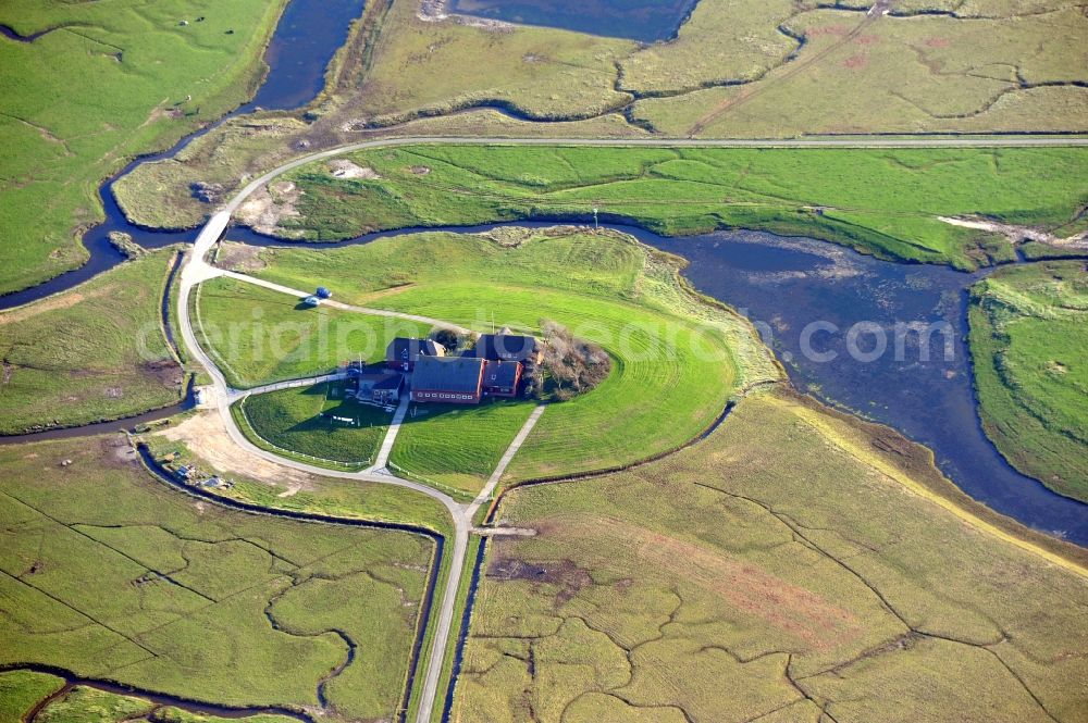 Langeneß from above - Green space structures a Hallig Landscape the North Sea island in Langeness North Friesland in the state Schleswig-Holstein, Germany