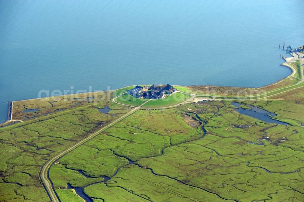 Langeneß from the bird's eye view: Green space structures a Hallig Landscape the North Sea island in Langeness North Friesland in the state Schleswig-Holstein, Germany