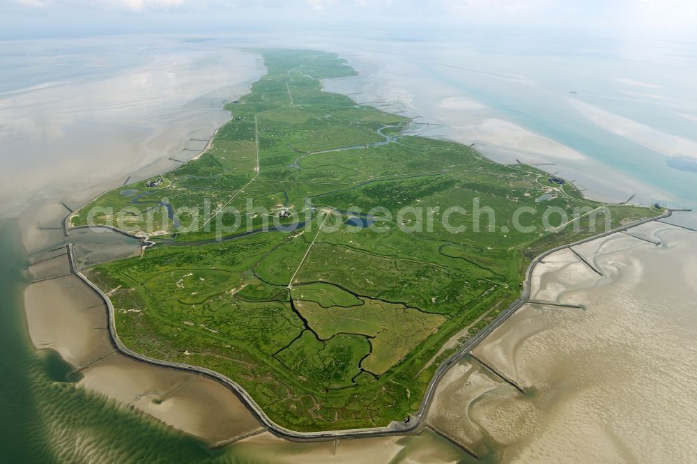 Langeneß from above - Green space structures a Hallig Landscape the North Sea island in Langeness North Friesland in the state Schleswig-Holstein, Germany