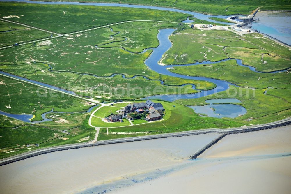 Langeneß from above - Green space structures a Hallig Landscape the North Sea island in Langeness North Friesland in the state Schleswig-Holstein, Germany