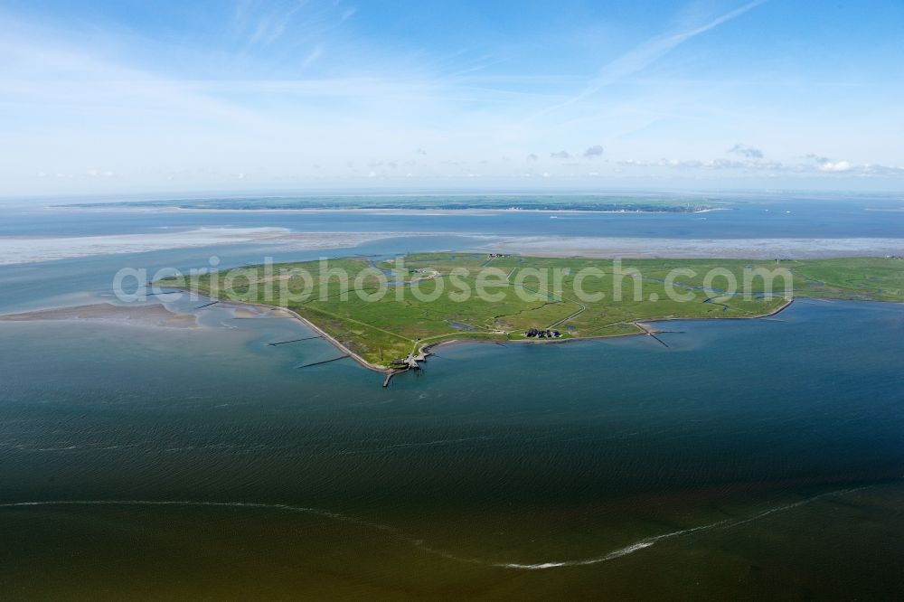 Aerial photograph Langeneß - Green space structures a Hallig Landscape the North Sea island in Langeness North Friesland in the state Schleswig-Holstein, Germany