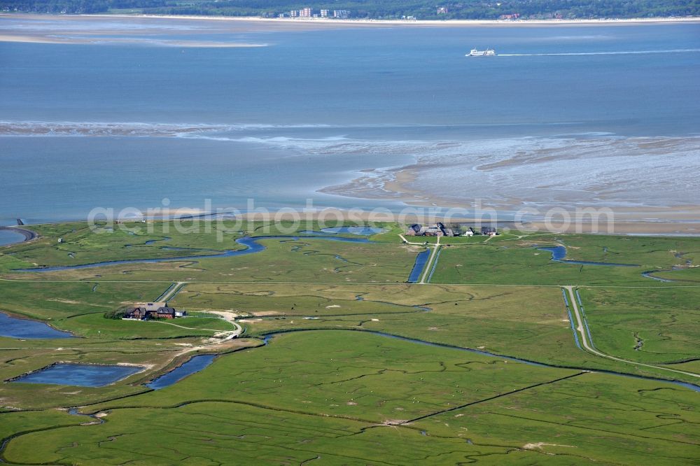 Langeneß from above - Green space structures a Hallig Landscape the North Sea island in Langeness North Friesland in the state Schleswig-Holstein, Germany