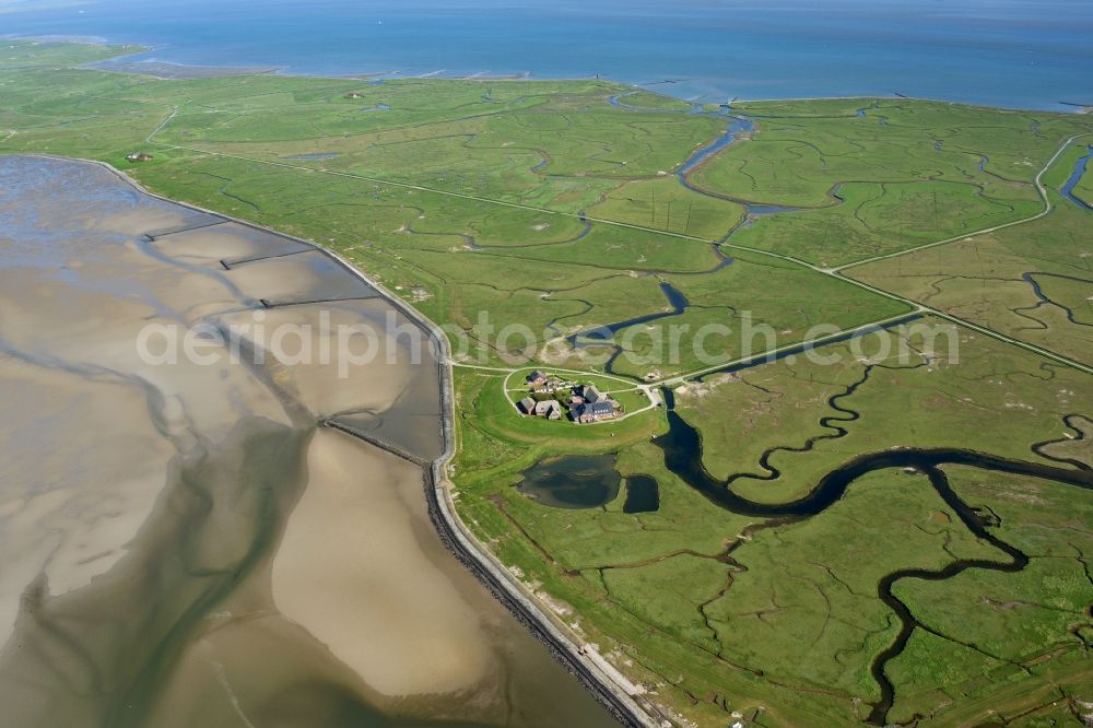 Langeneß from above - Green space structures a Hallig Landscape the North Sea island in Langeness North Friesland in the state Schleswig-Holstein, Germany