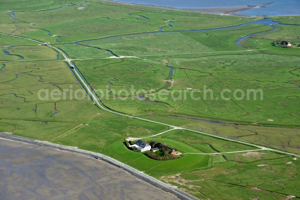 Langeneß from the bird's eye view: Green space structures a Hallig Landscape the North Sea island in Langeness North Friesland in the state Schleswig-Holstein, Germany