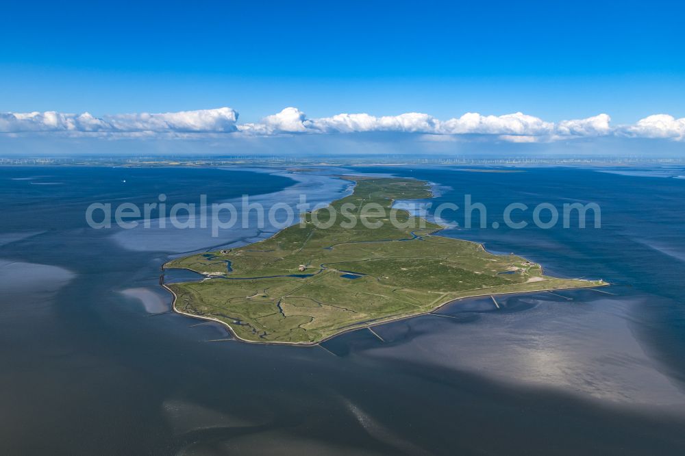 Langeneß from the bird's eye view: Green space structures a Hallig Landscape the North Sea island in Langeness North Friesland in the state Schleswig-Holstein, Germany