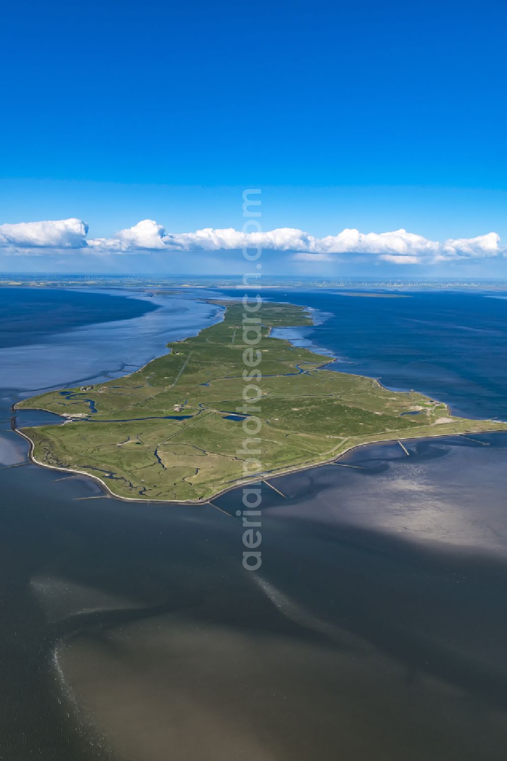 Aerial image Langeneß - Green space structures a Hallig Landscape the North Sea island in Langeness North Friesland in the state Schleswig-Holstein, Germany