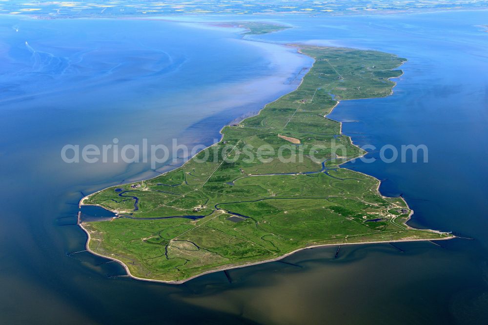 Langeneß from the bird's eye view: Green space structures a Hallig Landscape of North Sea in Langeness North Friesland in the state Schleswig-Holstein, Germany