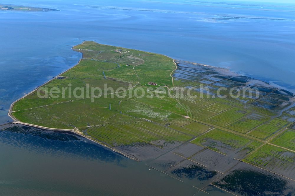 Nordstrandischmoor from above - Green space structures a Hallig Landscape in the North Sea in Nordstrandischmoor in the state Schleswig-Holstein, Germany