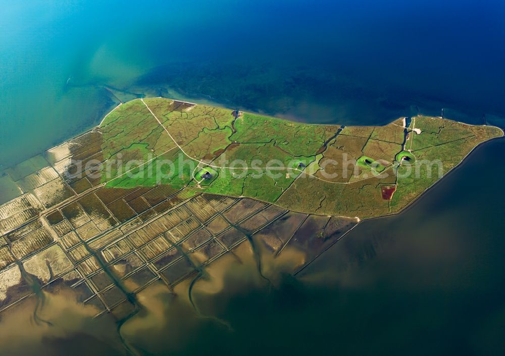 Aerial image Nordstrandischmoor - Green space structures a Hallig Landscape in the North Sea in Nordstrandischmoor in the state Schleswig-Holstein, Germany