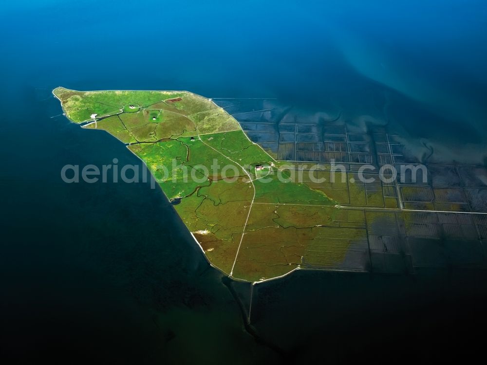 Aerial photograph Nordstrandischmoor - Green space structures a Hallig Landscape in the North Sea in Nordstrandischmoor in the state Schleswig-Holstein, Germany