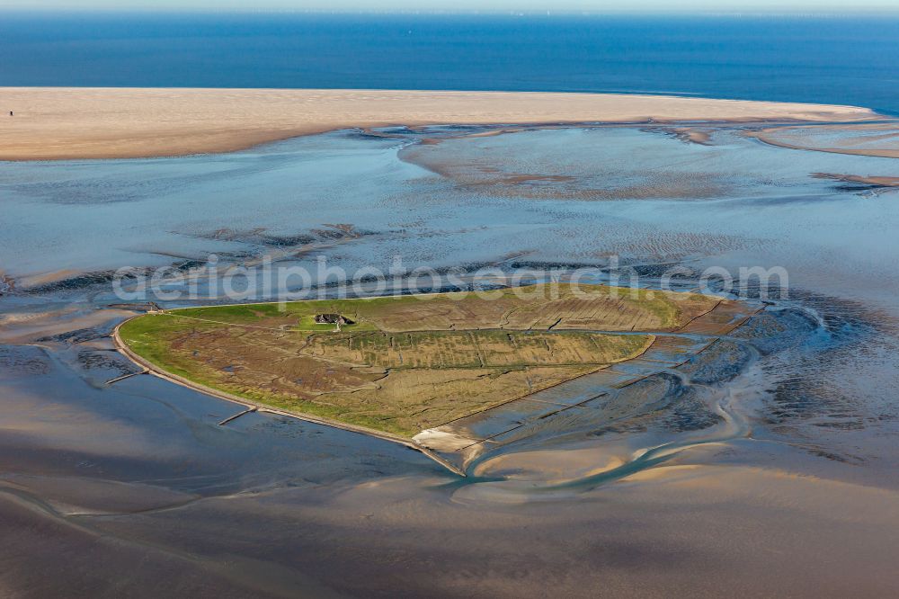 Pellworm from above - Green space structures a Hallig Landscape Suederoog in Pellworm North Friesland in the state Schleswig-Holstein, Germany