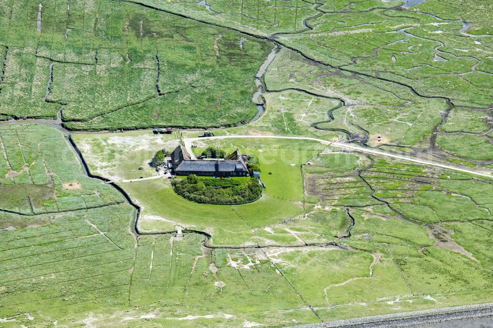 Pellworm from above - Green space structures a Hallig Landscape Suederoog in Pellworm North Friesland in the state Schleswig-Holstein, Germany