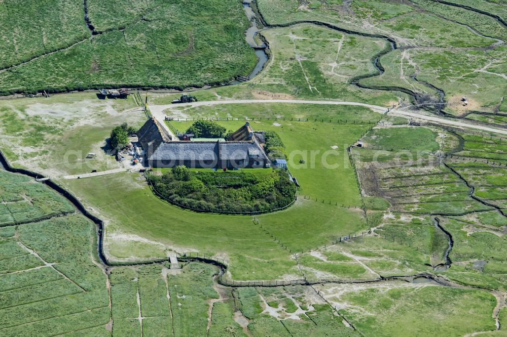 Pellworm from the bird's eye view: Green space structures a Hallig Landscape Suederoog in Pellworm North Friesland in the state Schleswig-Holstein, Germany