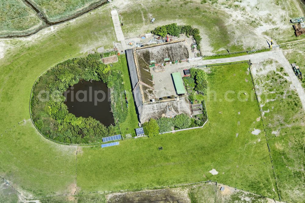 Pellworm from above - Green space structures a Hallig Landscape Suederoog in Pellworm North Friesland in the state Schleswig-Holstein, Germany