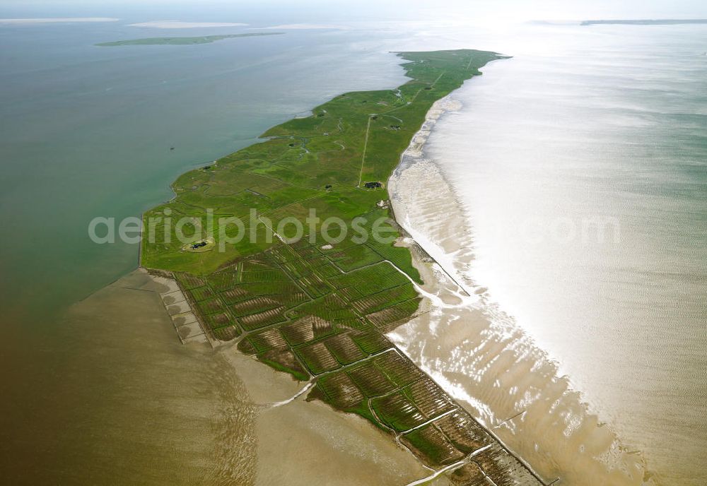 Langeneß from above - Langeneß is a municipality in the district of Nordfriesland in Schleswig-Holstein