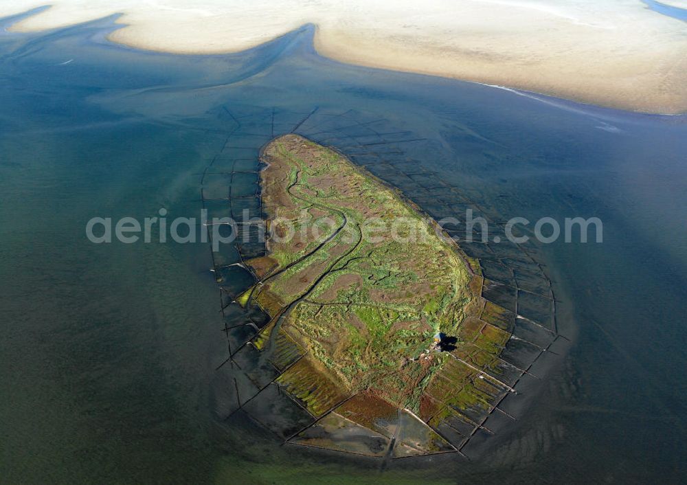 NORDEROOG from the bird's eye view: Blick auf die Insel Norderoog (friesisch Noorderuug), sie ist eine Hallig im Wattenmeer, vor der Westküste von Schleswig-Holstein. Die Hallig Norderoog - auch als Vogelhallig bekannt - ist das wichtigste deutsche Brutgebiet der Brandseeschwalbe, gehört dem Verein Jordsand.