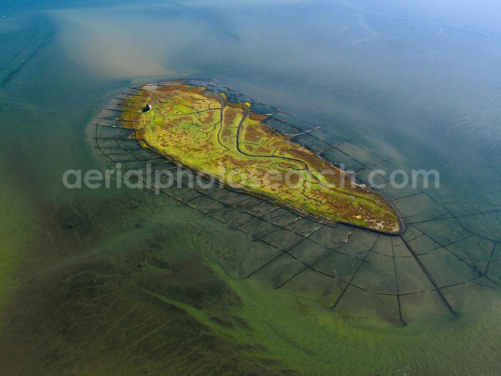 NORDEROOG from the bird's eye view: Blick auf die Insel Norderoog (friesisch Noorderuug), sie ist eine Hallig im Wattenmeer, vor der Westküste von Schleswig-Holstein. Die Hallig Norderoog - auch als Vogelhallig bekannt - ist das wichtigste deutsche Brutgebiet der Brandseeschwalbe, gehört dem Verein Jordsand.