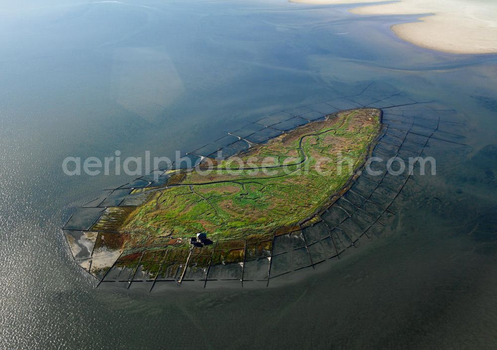 Aerial image NORDEROOG - Blick auf die Insel Norderoog (friesisch Noorderuug), sie ist eine Hallig im Wattenmeer, vor der Westküste von Schleswig-Holstein. Die Hallig Norderoog - auch als Vogelhallig bekannt - ist das wichtigste deutsche Brutgebiet der Brandseeschwalbe, gehört dem Verein Jordsand.