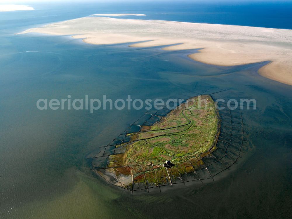 NORDEROOG from above - Blick auf die Insel Norderoog (friesisch Noorderuug), sie ist eine Hallig im Wattenmeer, vor der Westküste von Schleswig-Holstein. Die Hallig Norderoog - auch als Vogelhallig bekannt - ist das wichtigste deutsche Brutgebiet der Brandseeschwalbe, gehört dem Verein Jordsand.