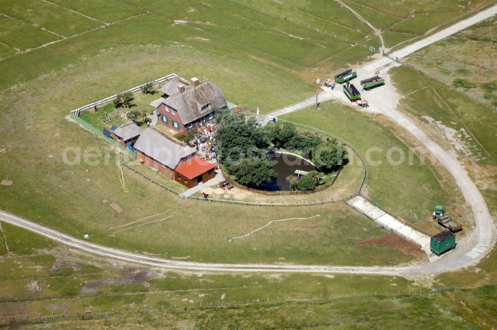 Aerial image Pellworm - Hallig Suedfall in Pellworm in Schleswig-Holstein. Wadden Sea at low tide. Top Pellworm