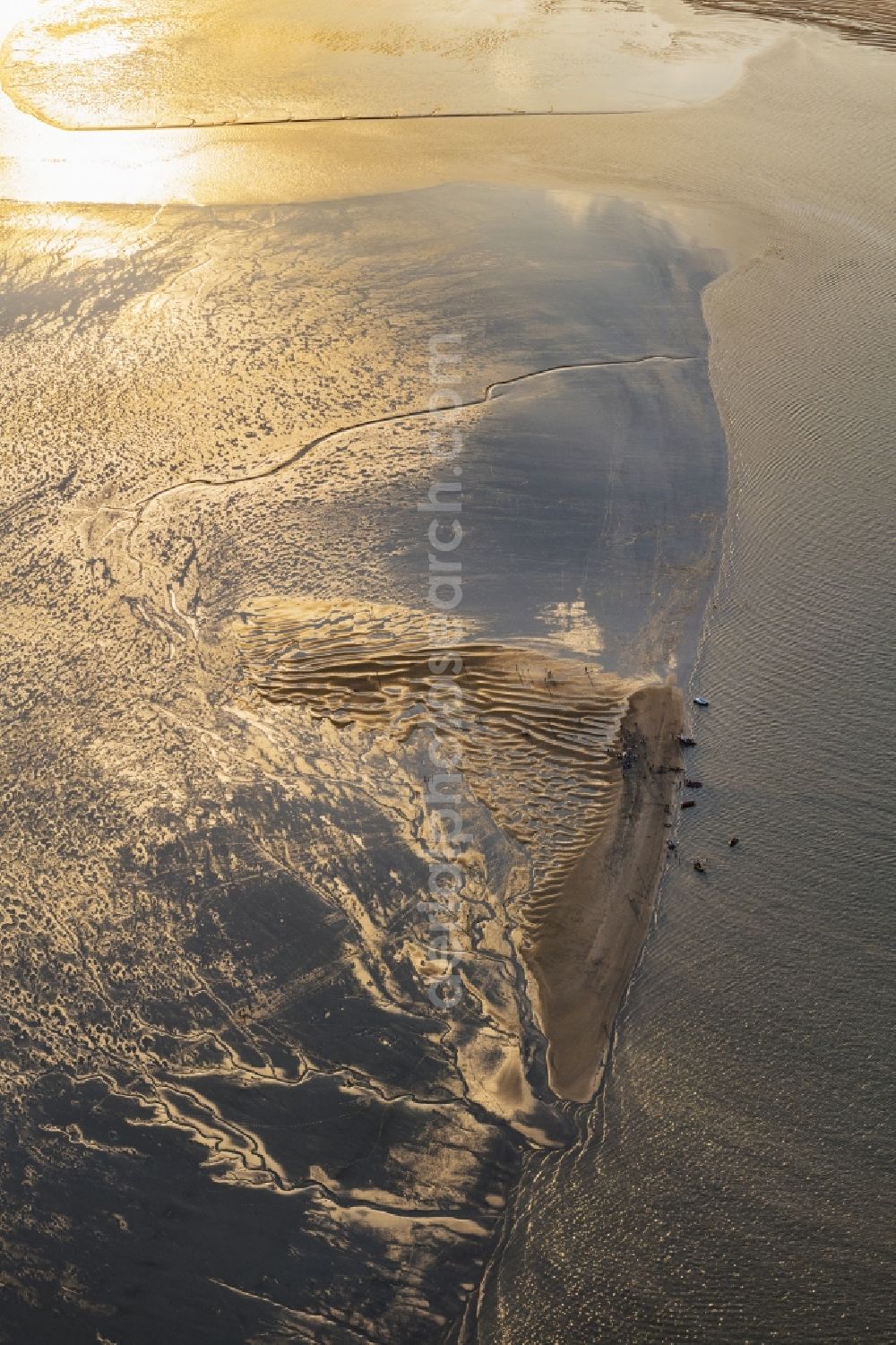 Aerial image Hamburg - Hanskalbsand excursion on a sandbank at low tide in Hamburg, Germany