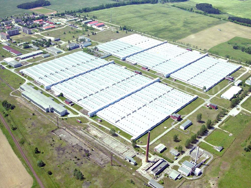 Aerial photograph Hassleben (Haßleben) / Brandenburg - Im Norden der brandenburgischen Gemeinde Hassleben / Haßleben (Landkreis Uckermark) ist die im Jahr 1991 ursprünglich stillgelegte Schweinezucht- und Mastanlage mit einer Kapazität von 85.000 Schweinen ausgebaut worden.