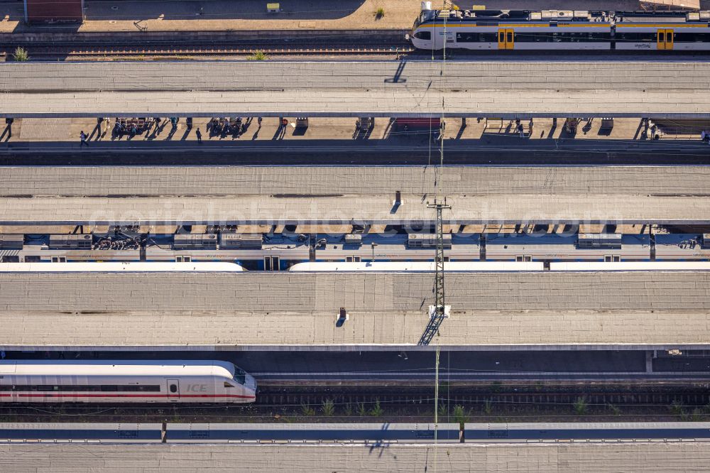 Hamm from the bird's eye view: Platforms at the main train station of Deutsche Bahn on Willy-Brandt-Platz in Hamm in the Ruhr area in the state of North Rhine-Westphalia, Germany