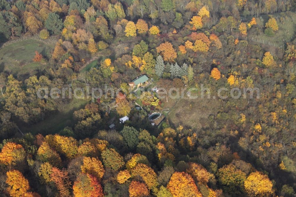 Liepe from the bird's eye view: House in the forest outside of in Liepe in the state Brandenburg