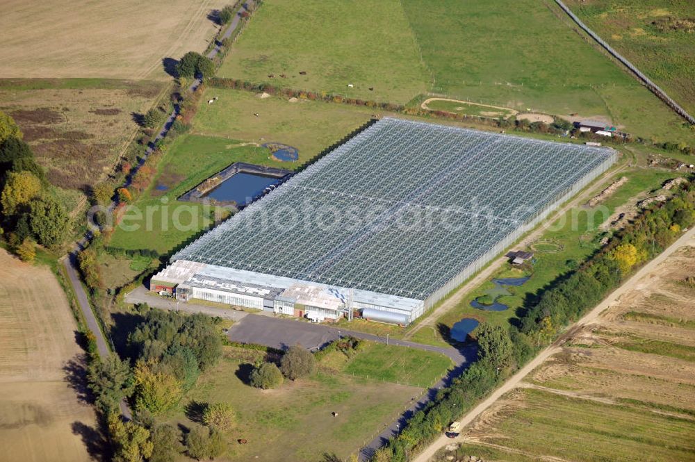 Aerial image Ahrensfelde OT Eiche - Gewächshaus der Havelia Obst und Gemüse GmbH am Mehrower Weg. Greenhouse of Havelia.