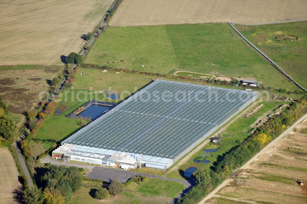 Aerial photograph Ahrensfelde OT Eiche - Gewächshaus der Havelia Obst und Gemüse GmbH am Mehrower Weg. Greenhouse of Havelia.