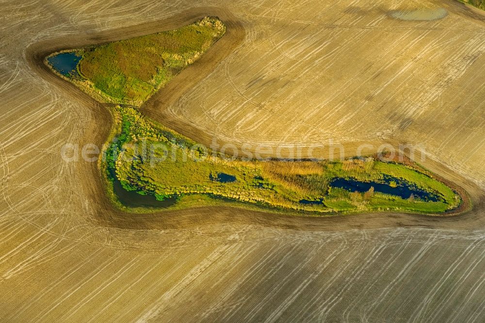 Aerial image Stavenhagen - View of a hedge bank near Stavenhagen in the state Mecklenburg-West Pomerania