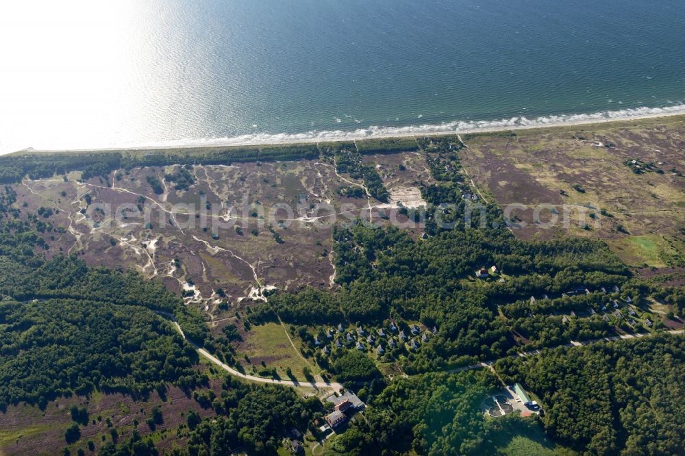 Aerial photograph Insel Hiddensee - Heathland landscape Duenenheide in Insel Hiddensee in the state Mecklenburg - Western Pomerania