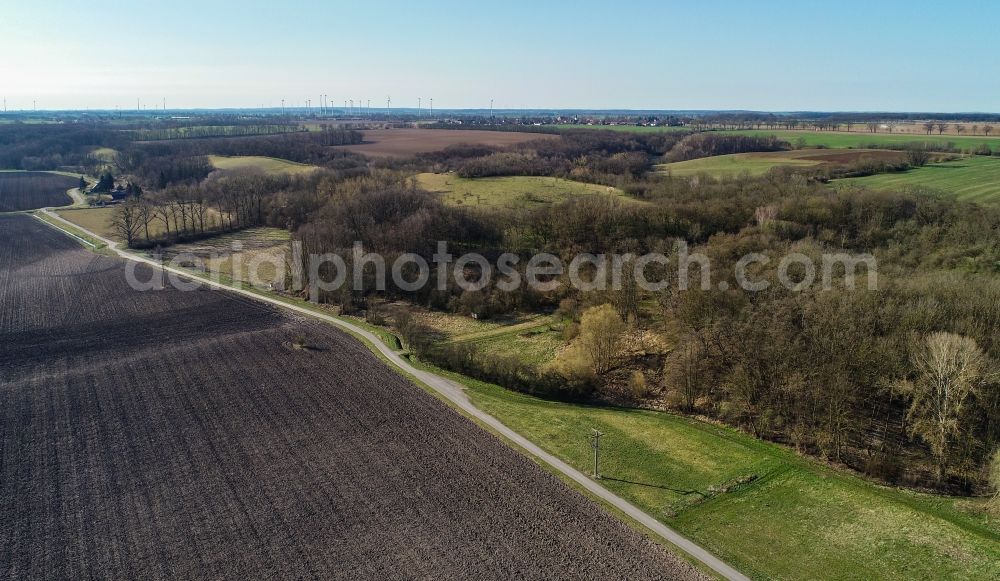 Seelow from above - Heathland landscape Seelower Hoehen in Seelow in the state Brandenburg, Germany