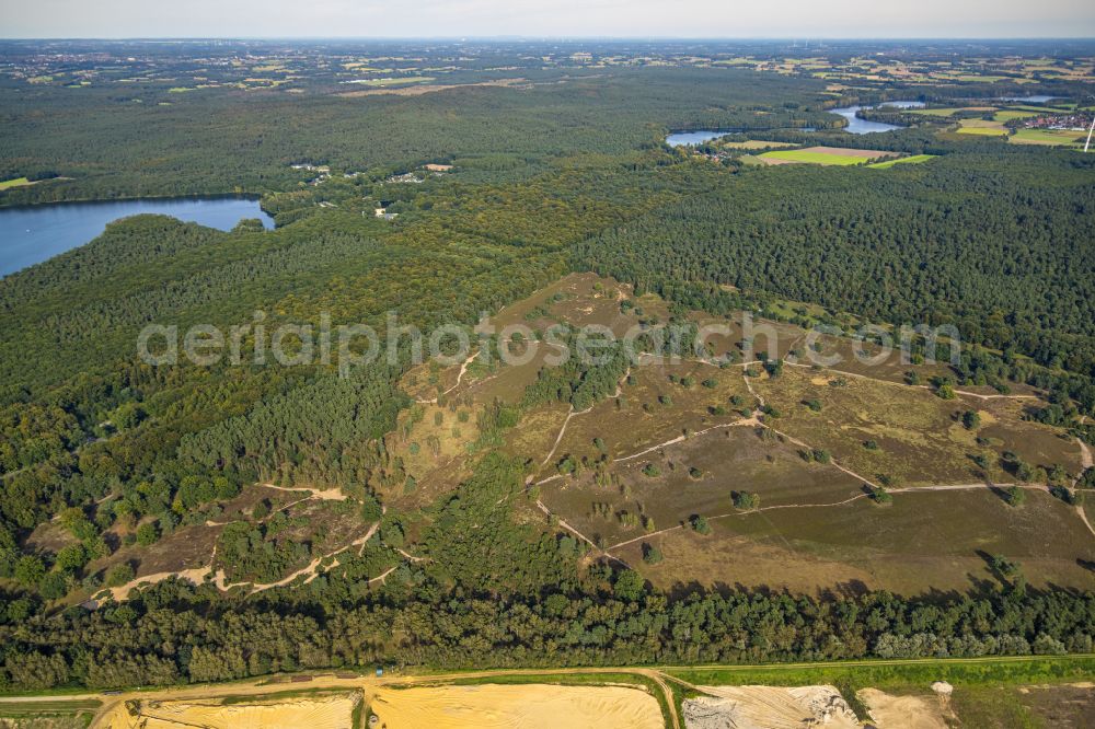 Haltern am See from the bird's eye view: Heathland landscape Westruper Heide in Haltern am See in the state North Rhine-Westphalia