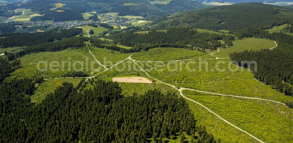 Niedersfeld from the bird's eye view: Heathland in the mountains in Niedersfeld in the state North Rhine-Westphalia
