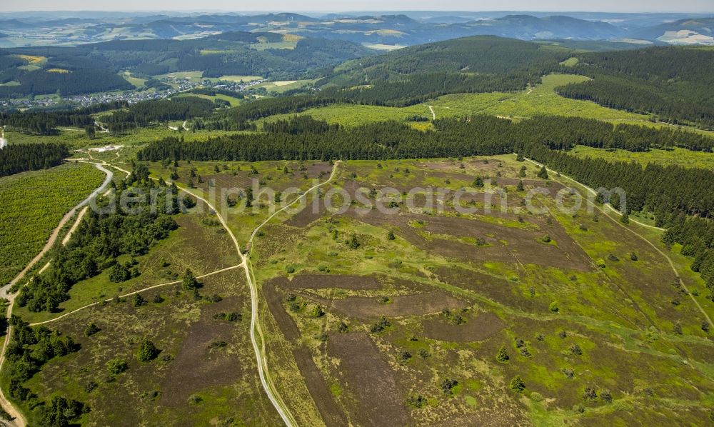 Aerial image Winterberg - Heathland in the mountains of Rothaargebirge in Winterberg in the state North Rhine-Westphalia