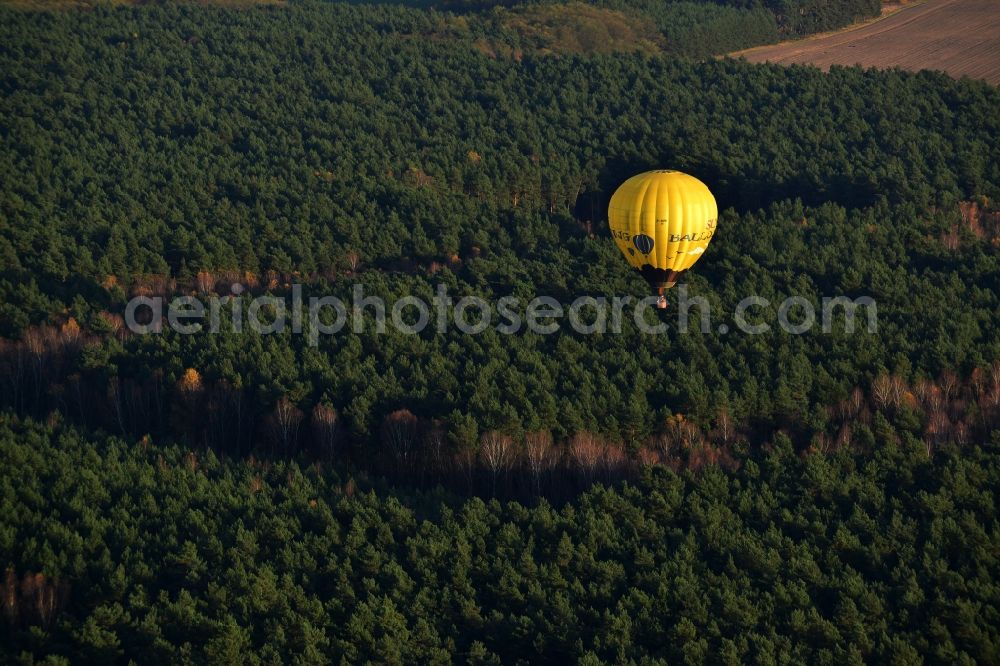 Biesenthal from the bird's eye view: Hot air balloon over an autumnal forest at Biesenthal in Saxony-Anhalt