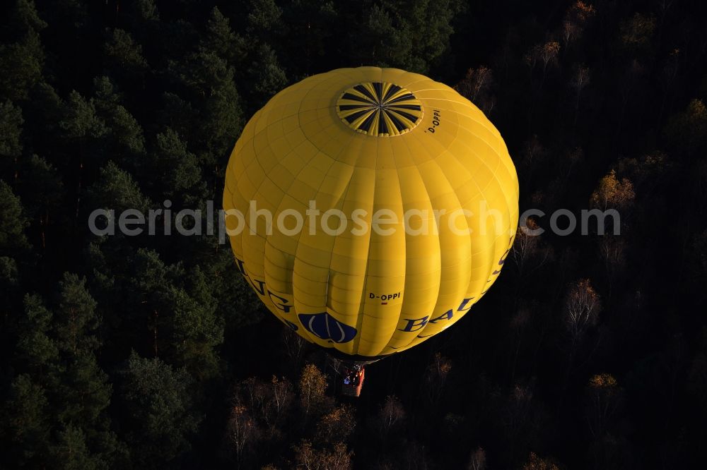 Aerial image Biesenthal - Hot air balloon over an autumnal forest at Biesenthal in Saxony-Anhalt