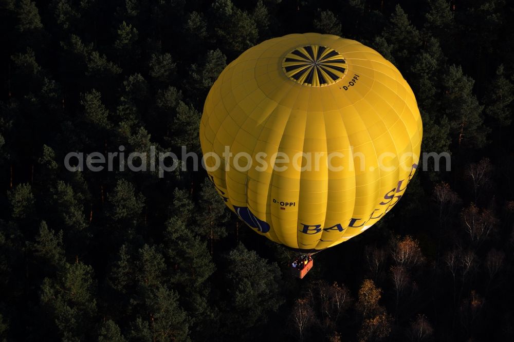 Aerial photograph Biesenthal - Hot air balloon over an autumnal forest at Biesenthal in Saxony-Anhalt