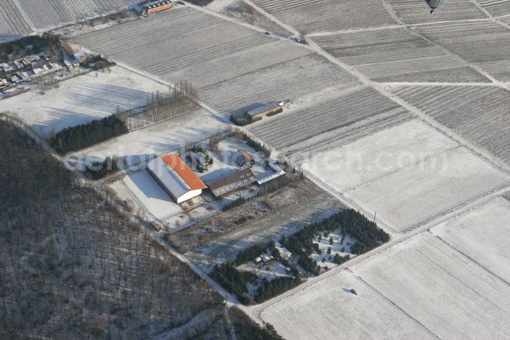 Winzenheim from the bird's eye view: Hot air balloon over winter covered with snow field landscape on the outskirts of Winzenheim, a district of Bad Kreuznach in Rhineland-Palatinate