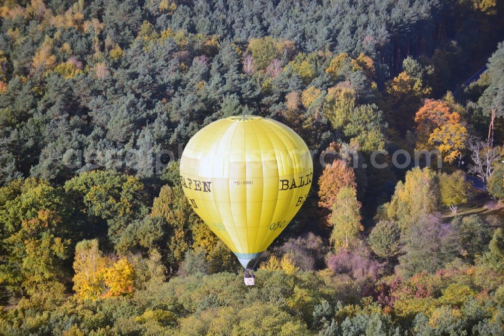 Aerial photograph Kropstädt - Hot air balloon over an autumnal forest in Kropstädt in Saxony-Anhalt