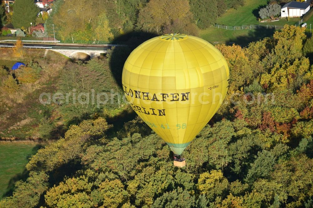 Aerial image Kropstädt - Hot air balloon over an autumnal forest in Kropstädt in Saxony-Anhalt