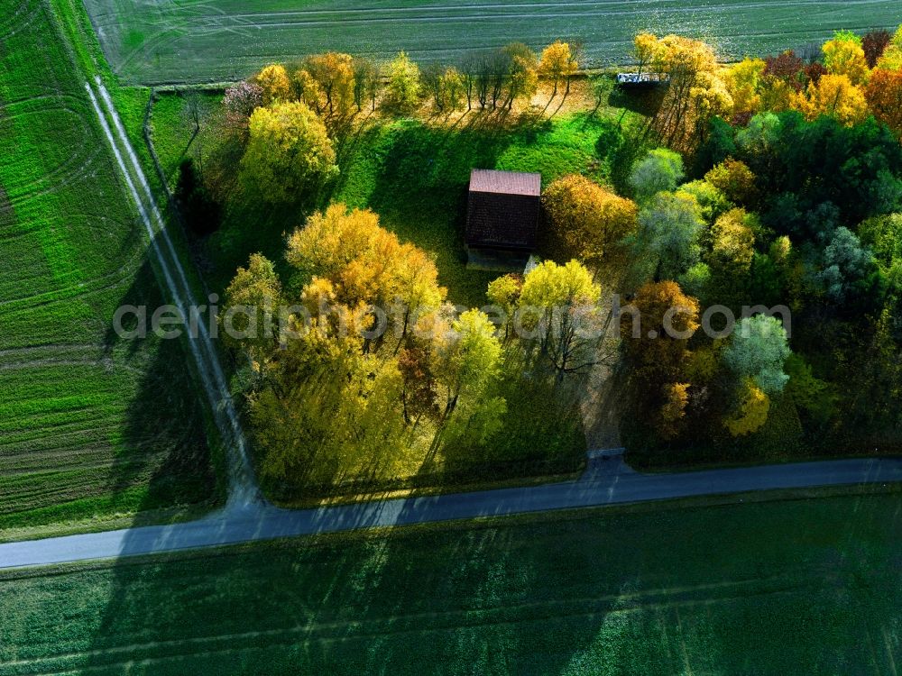 Aerial photograph Markt Indersdorf - Autumn - Landscape with trees in late autumn state of Bavaria