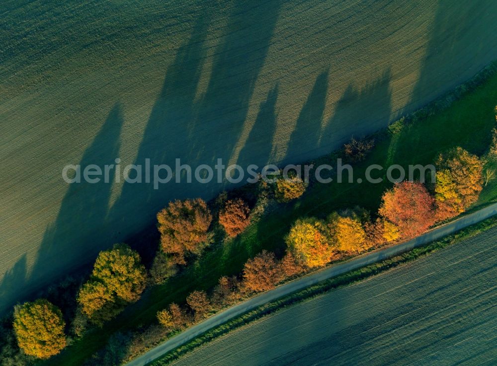 Markt Indersdorf from above - Autumn - Landscape with trees in late autumn state of Bavaria