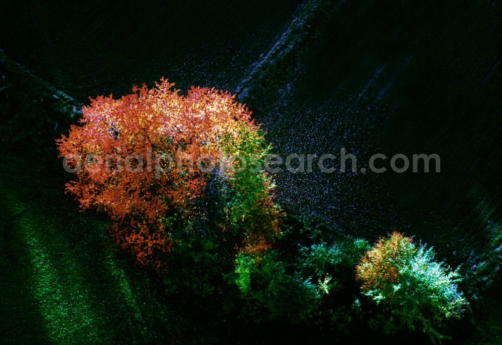 Aerial image Markt Indersdorf - Autumn - Landscape with trees in late autumn state of Bavaria