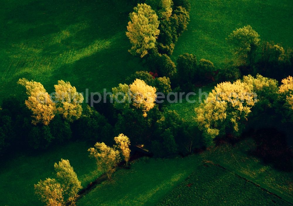 Markt Indersdorf from the bird's eye view: Autumn - Landscape with trees in late autumn state of Bavaria