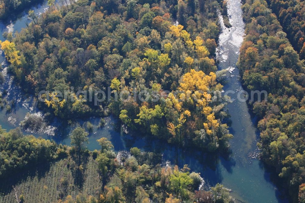 Rheinhausen from above - Indian summer and autumn colours in the nature reserve and conservation area Taubergiessen at Rheinhausen in the state Baden-Wurttemberg