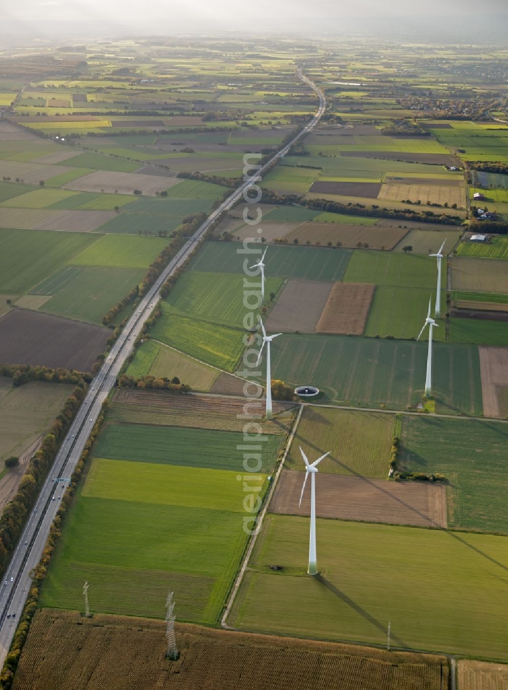 Werl from above - Autumn Impressions with long shadows of fringing fields rows of trees at Werl in the state of North Rhine-Westphalia