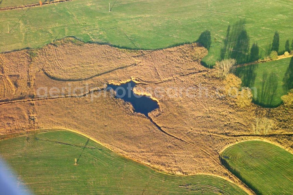 Aerial photograph Bad Salzungen - ; Blick auf Herbstlandschaft in der Nähe von Bad Salzungen.